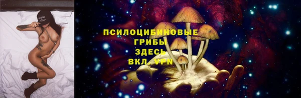не бодяженный Дмитровск