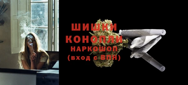 соль ск Дмитриев