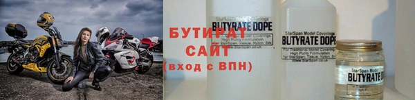 соль ск Дмитриев