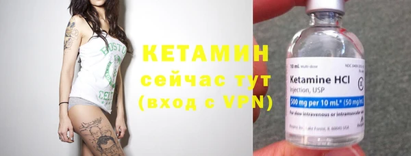 соль ск Дмитриев