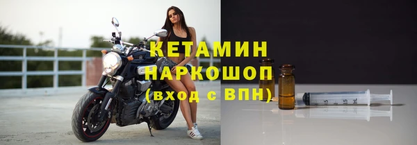 соль ск Дмитриев
