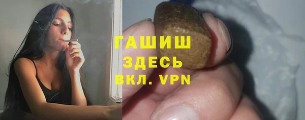 соль ск Дмитриев