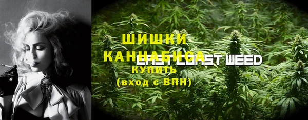 соль ск Дмитриев