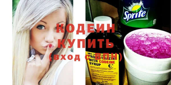 соль ск Дмитриев