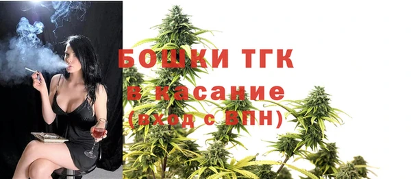 соль ск Дмитриев