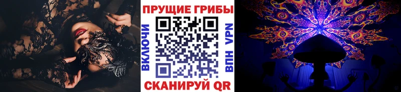 Галлюциногенные грибы Psilocybine cubensis  Барнаул 